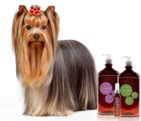 /album/cliente-da-semana/vinhoterapia-jpg/