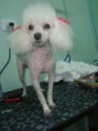 /album/galeria-de-fotos/pqaaaleatpje3la2jbe2-xhagci5icghlfdbqel9ulo5t2uutuhd8iz0mo08dhyvchlv3t3doztxtu4jw9nxhywyuiaam1t1uircyhdqouueyxkva5rockc1t9gp-jpg/