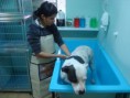 /album/galeria-de-fotos/pqaaaebmaes0gwkl8fe7xoq4ytuv3z-h24sitdpk2nyximm6i-pdfcecevjpnils-lxhko1mcesmnnljzu5ppm3rwwoam1t1ui0tkb-oinstdl9z19hu7lokxmoh-jpg/
